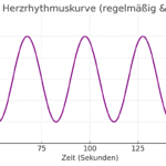 Kohärente Herzrhythmuskurve zeigt gleichmäßiges sinusförmiges Muster der Herzfrequenz (Herzkohärenz). Darstellung über 200 Sekunden mit 65–85 Herzschlägen pro Minute. Veranschaulicht Herzratenvariabilität, Stressbewältigung und inneres Gleichgewicht durch Herzkohärenz.