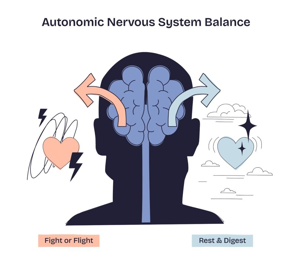 Illustration des autonomen Nervensystems mit dem Gleichgewicht zwischen „Fight or Flight“ und „Rest & Digest“. Auf der linken Seite steht das sympathische Nervensystem für Stress und Aktivierung, auf der rechten Seite das parasympathische System mit dem Vagusnerv für Entspannung und Regeneration. Symbolische Herzen, Pfeile und sanfte Farben zeigen, wie der Vagusnerv hilft, Ruhe und innere Balance wiederherzustellen.