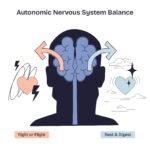 Illustration des autonomen Nervensystems mit dem Gleichgewicht zwischen „Fight or Flight“ und „Rest & Digest“. Auf der linken Seite steht das sympathische Nervensystem für Stress und Aktivierung, auf der rechten Seite das parasympathische System mit dem Vagusnerv für Entspannung und Regeneration. Symbolische Herzen, Pfeile und sanfte Farben zeigen, wie der Vagusnerv hilft, Ruhe und innere Balance wiederherzustellen.