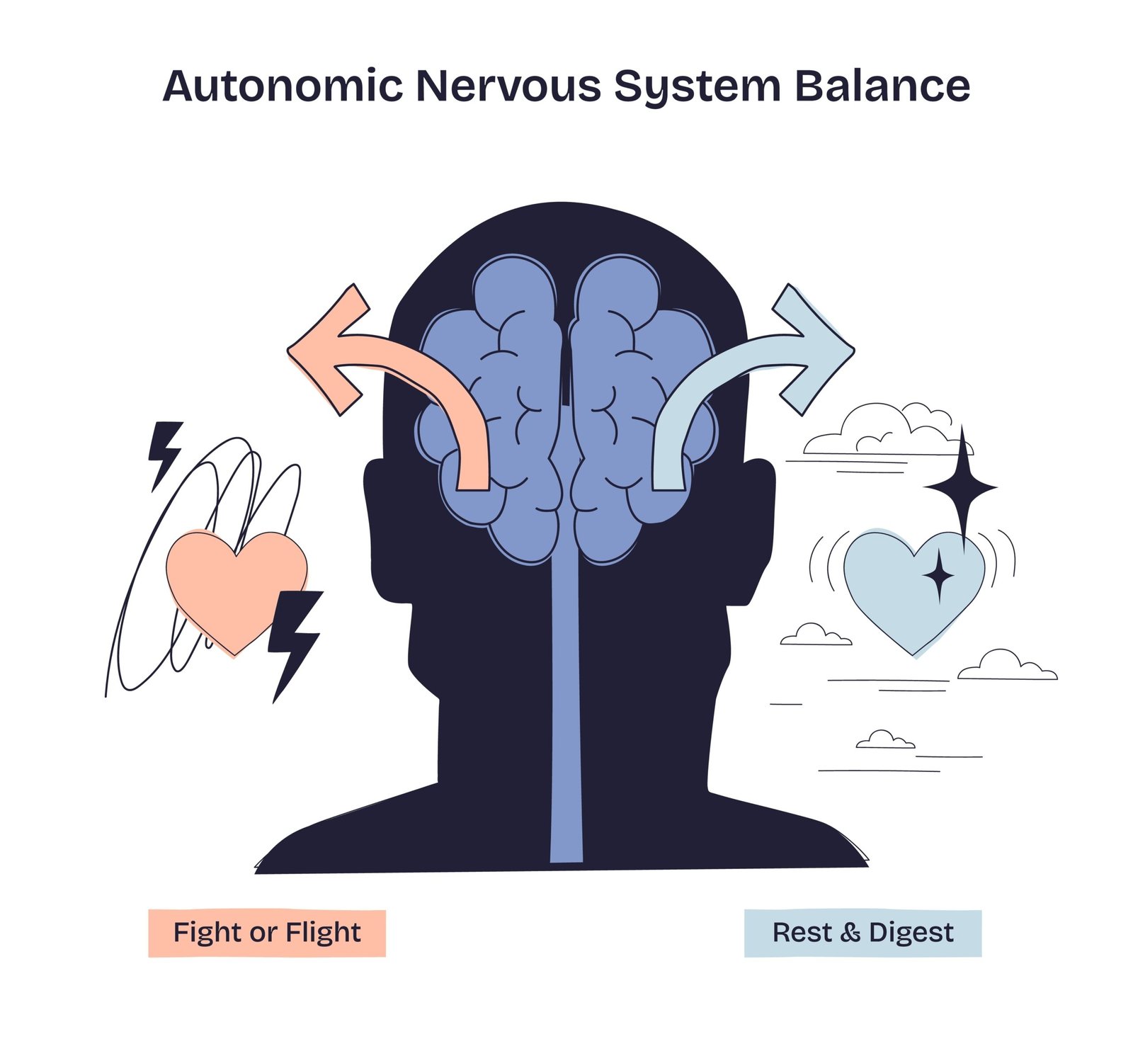Illustration des autonomen Nervensystems mit dem Gleichgewicht zwischen „Fight or Flight“ und „Rest & Digest“. Auf der linken Seite steht das sympathische Nervensystem für Stress und Aktivierung, auf der rechten Seite das parasympathische System mit dem Vagusnerv für Entspannung und Regeneration. Symbolische Herzen, Pfeile und sanfte Farben zeigen, wie der Vagusnerv hilft, Ruhe und innere Balance wiederherzustellen.