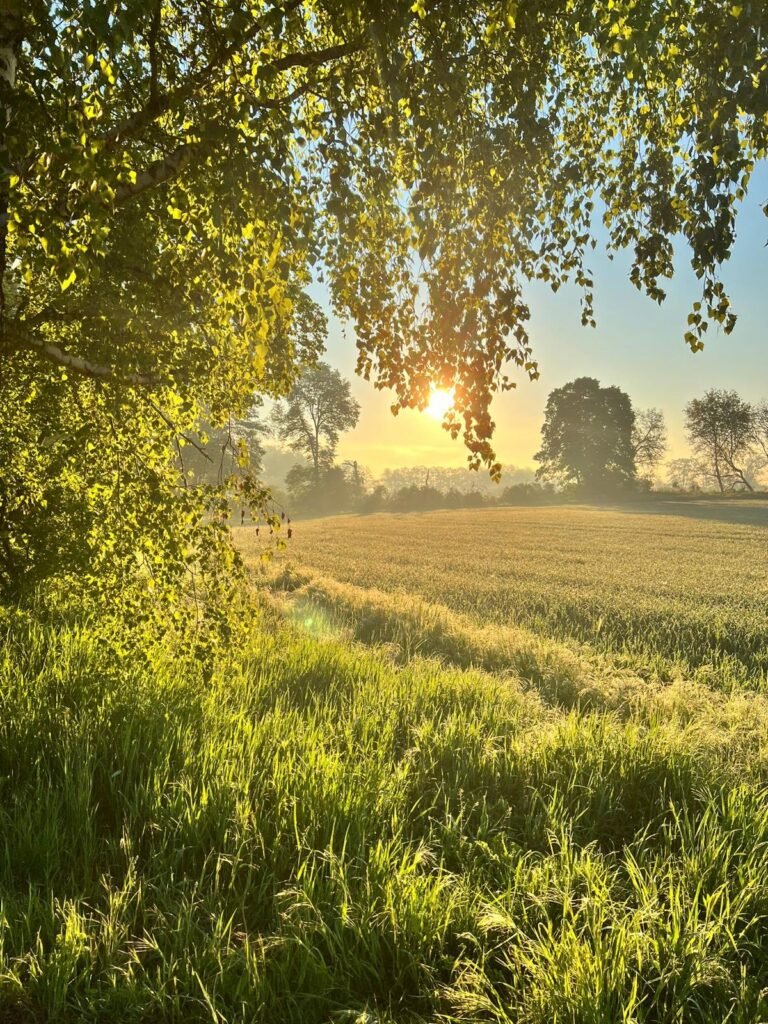 Natur und Stille – Location für das Psychedelic Breath® Teacher Training