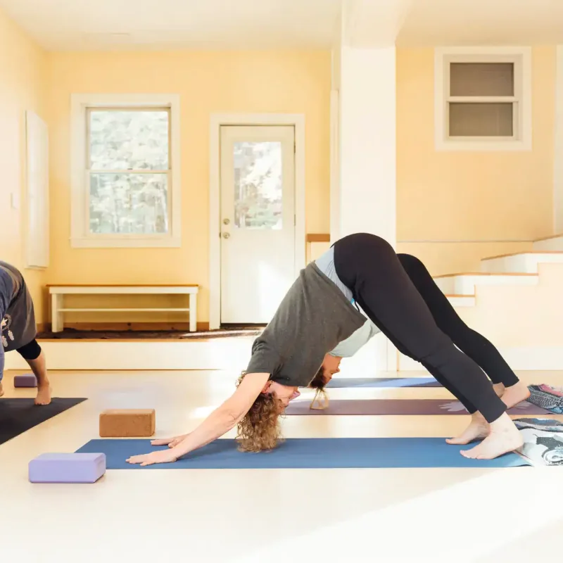 Yoga Einsteiger – Zwei Personen üben den herabschauenden Hund auf Yogamatten in einem hellen Raum